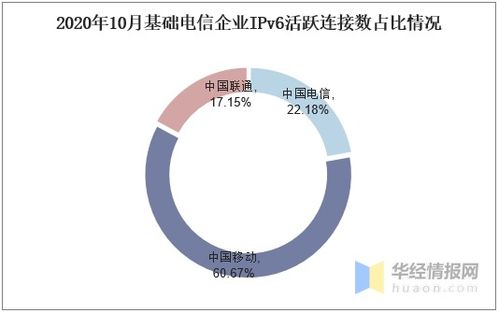 2020年IPv6行业发展现状及竞争格局分析——数据处理和存储支持服务展望