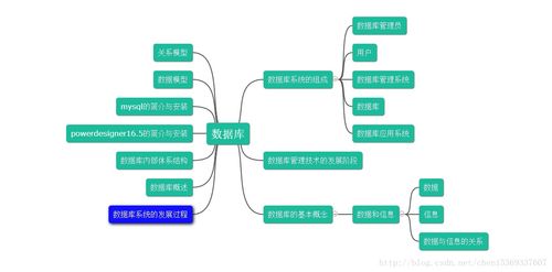 数据库入门精要 数据处理与存储支持服务深度解析
