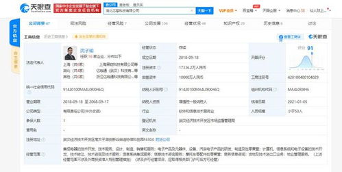 芯擎科技引领7nm车规级芯片创新，专利布局助力数据处理与存储效能提升